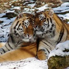 Схема вышивки «вместе»