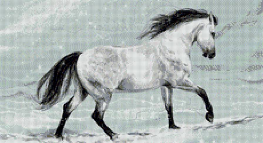 Лошадь - лошадь, животные - предпросмотр