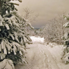 Схема вышивки «Зимний лес»