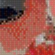 Предпросмотр схемы вышивки «снегири» (№499878)