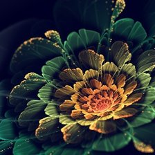 Схема вышивки «Фантастические цветы»