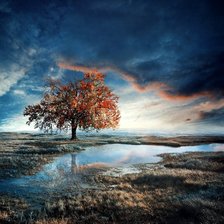 Схема вышивки «На закате»