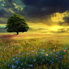 Схема вышивки «Одинокое дерево»