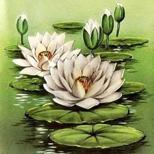 Схема вышивки «Кувшинки3»