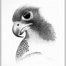 Схема вышивки «взгляд»