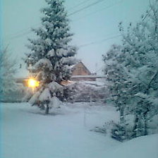 Схема вышивки «№1»