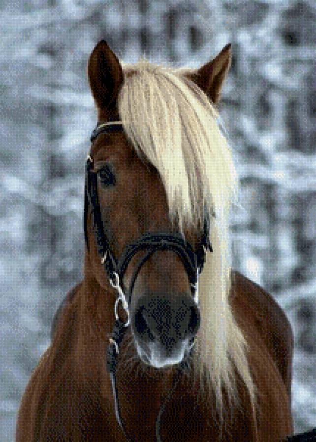 №500121 - предпросмотр