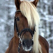 Схема вышивки «№500121»