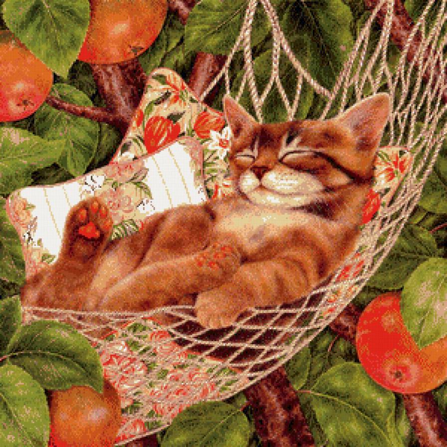 Отдых - предпросмотр