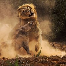 Схема вышивки «№500133»