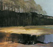 Схема вышивки «Twardowski»