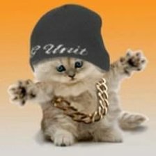 Схема вышивки «котенок-рэпер»