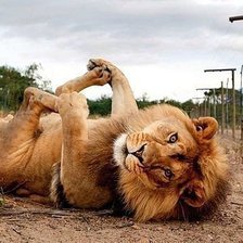 Схема вышивки «нега»