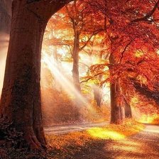 Схема вышивки «ах,осень»