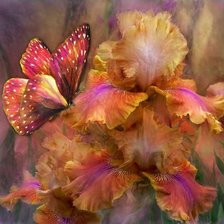 Схема вышивки «Бабочка на цветке»