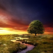 Схема вышивки «Одинокое дерево»