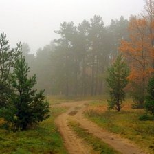 Схема вышивки «В осеннем лесу»