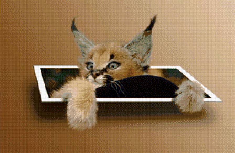 К вам можно? - детеныш, рысь - предпросмотр