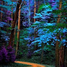 Схема вышивки «Волшебный лес»