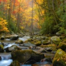 Схема вышивки «Лесная речка»