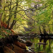 Схема вышивки «В лесу»