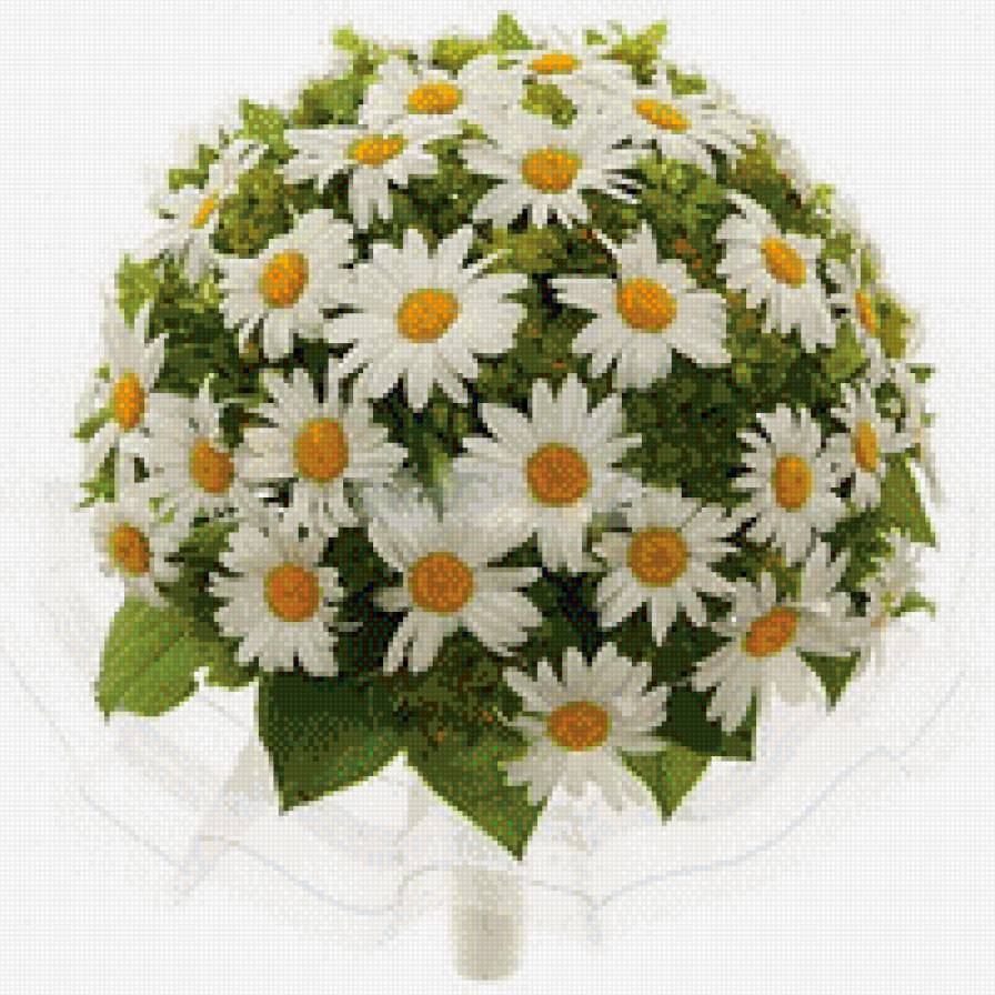 Букет-невесты из ромашек - цветы, ромашки, невесте - предпросмотр