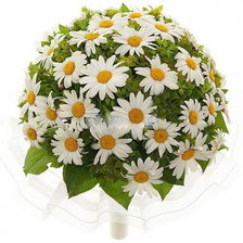 Схема вышивки «Букет-невесты из ромашек»