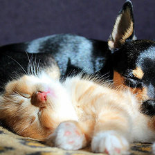 сладкая парочка