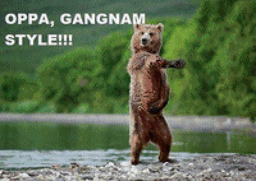 мишка гангнамстайл - юмор, прикол, мишка, природа - предпросмотр