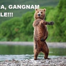 Схема вышивки «мишка гангнамстайл»