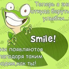 Схема вышивки «Лягушка»