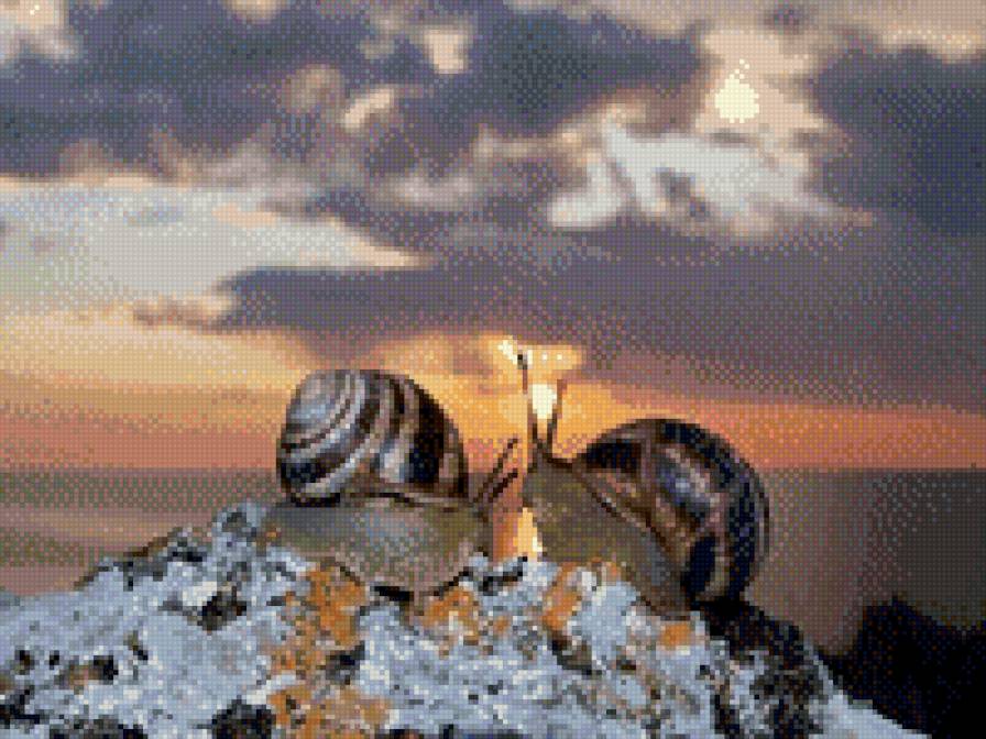 Романтичные улитки - пейзаж, улитки, небо, пара, животные, романтика, красота - предпросмотр