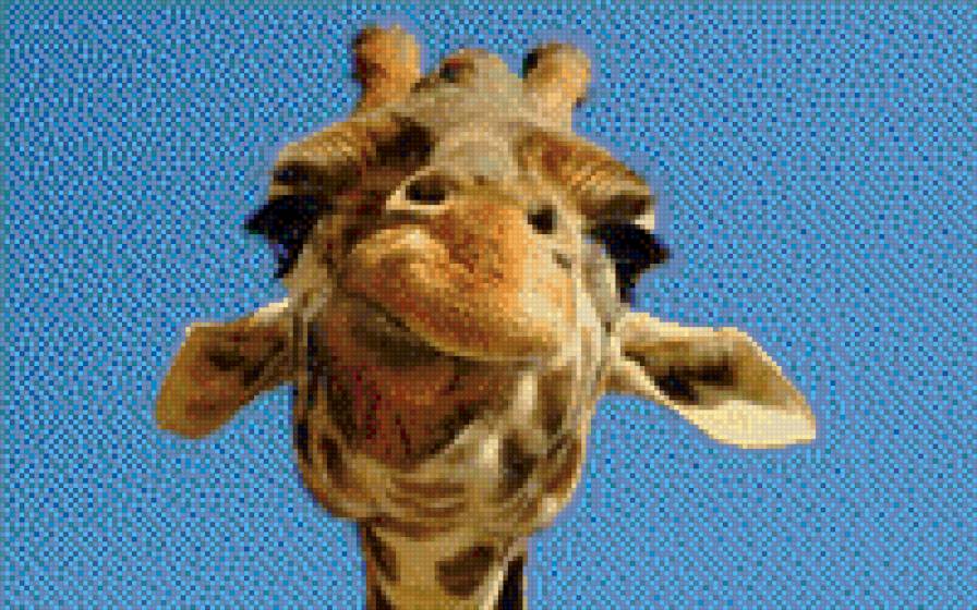 жираф - предпросмотр
