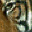 Предпросмотр схемы вышивки «тигр» (№500833)