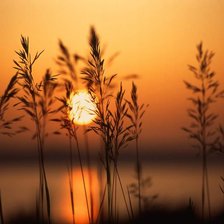 Схема вышивки «закат»