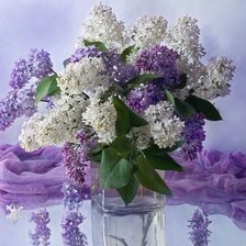 Букет сирени