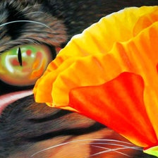 Схема вышивки «взгляд»