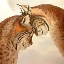 Схема вышивки «любовь»