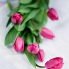 Схема вышивки «№501386»