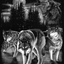 Схема вышивки «волки монохром»