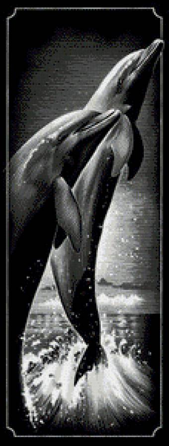 дельфины монохром - море, дельфины, чорнобелое - предпросмотр