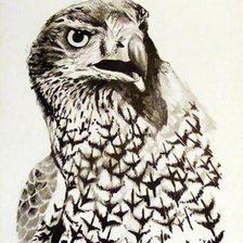 Схема вышивки «орёл монохром»