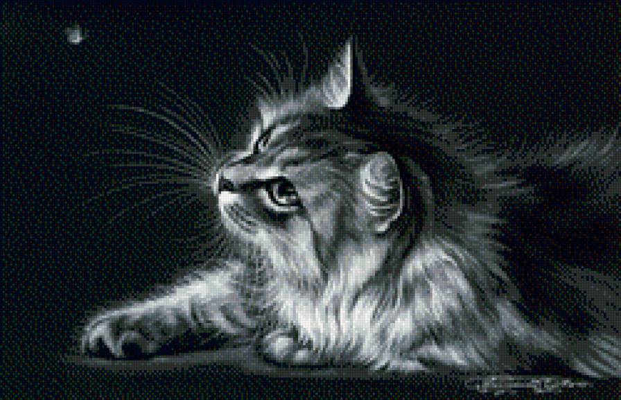 кот и бабочка монохром - кот, чорнобелое, котенок, монохром - предпросмотр