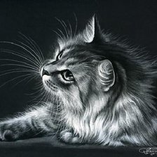 Схема вышивки «кот и бабочка монохром»