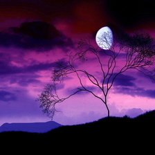 Схема вышивки «№501572»