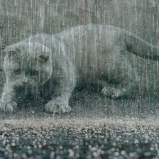 Схема вышивки «№501583»