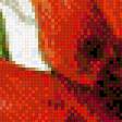 Предпросмотр схемы вышивки «Подушка "Маки"» (№501585)