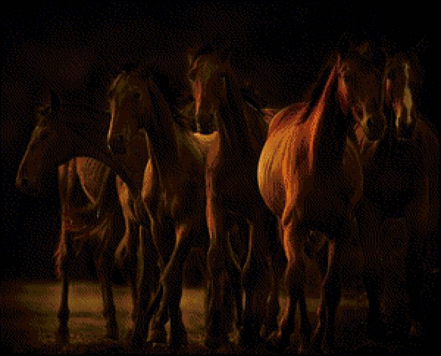 Лошади - животные, лошади - предпросмотр