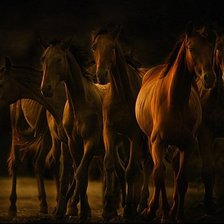 Схема вышивки «Лошади»