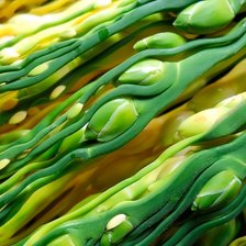 Схема вышивки «Растение (макро-съемка)»